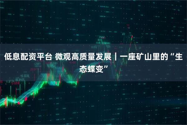 低息配资平台 微观高质量发展｜一座矿山里的“生态蝶变”