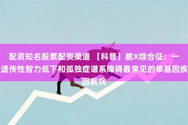 配资知名股票配资渠道 【科普】脆X综合征：一种遗传性智力低下和孤独症谱系障碍最常见的单基因疾病