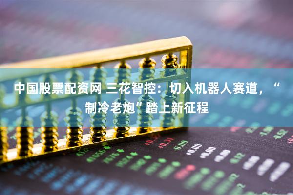 中国股票配资网 三花智控：切入机器人赛道，“制冷老炮”踏上新征程